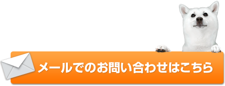小さな疑問も専門家に聞けば安心だワン！メールでのお問合わせはこちら